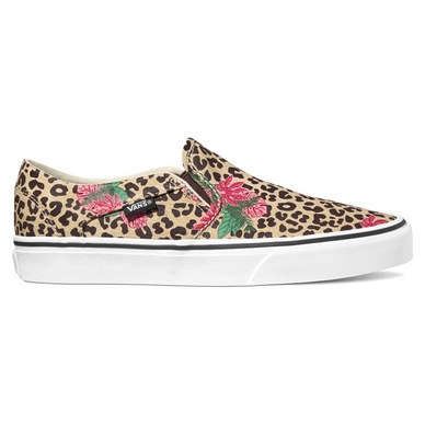 Vans asher clearance cheetah